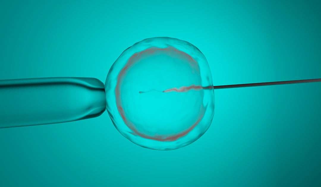 antinomia-derechos-fundamentales-fecundacion-in-vitro