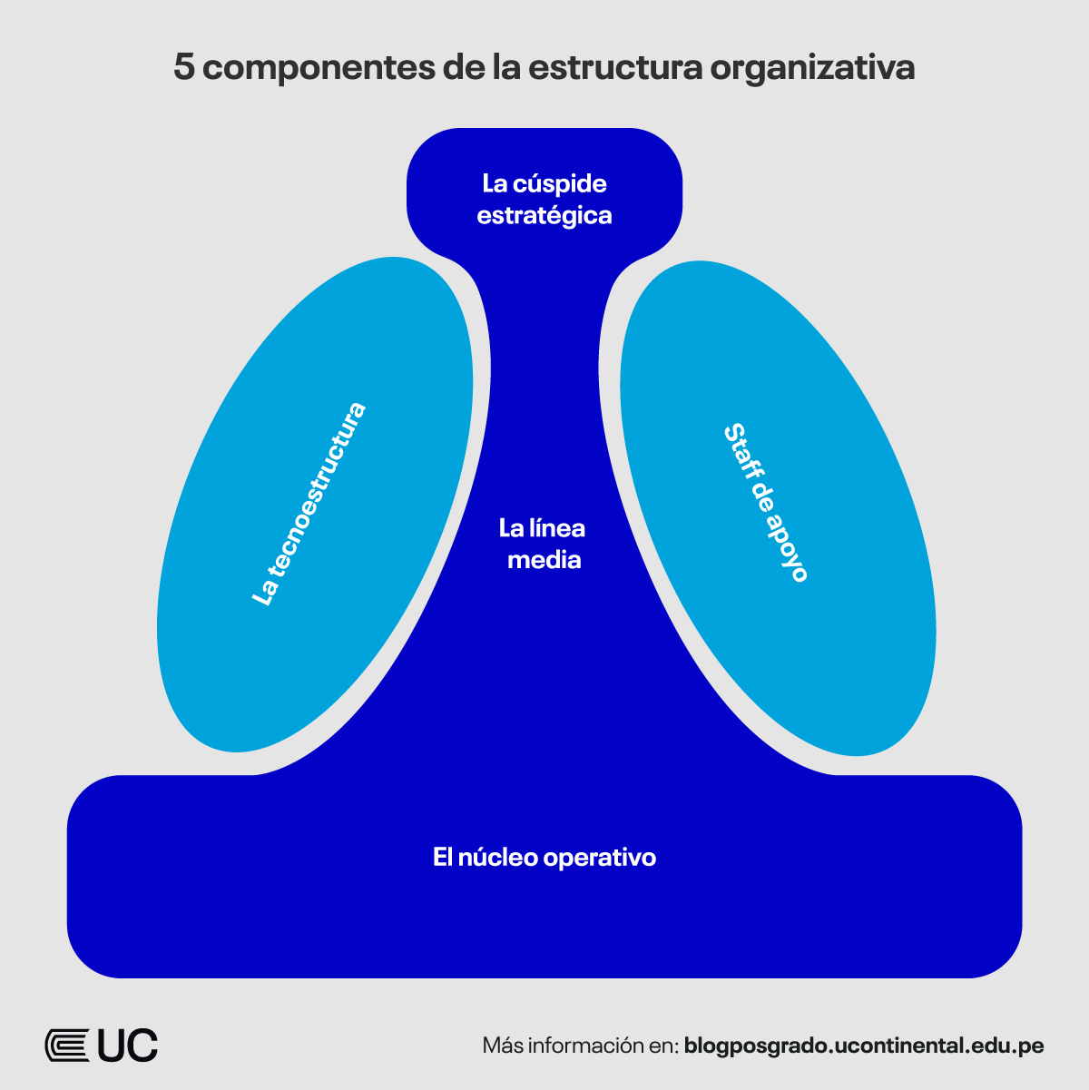 Cinco componentes de la estructura organizacional