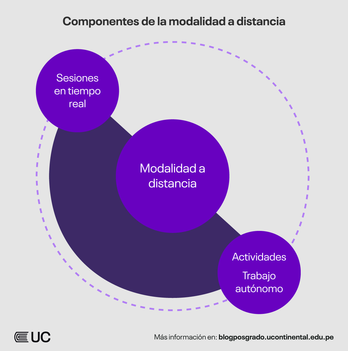 componentes-modalidad-a-distancia-universidad-continental