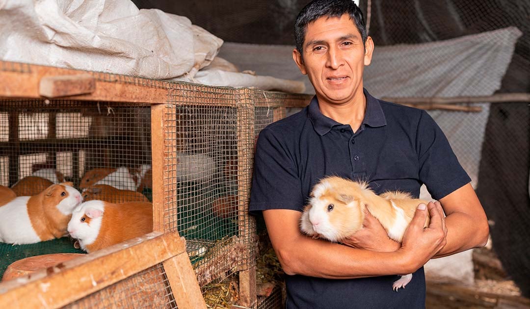 peru-desarrollo-gran-empresa-6