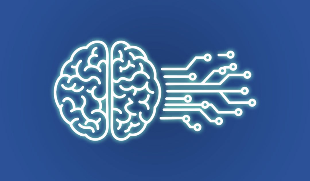 neurociencia-morfodinamica-forma-cerebro-2