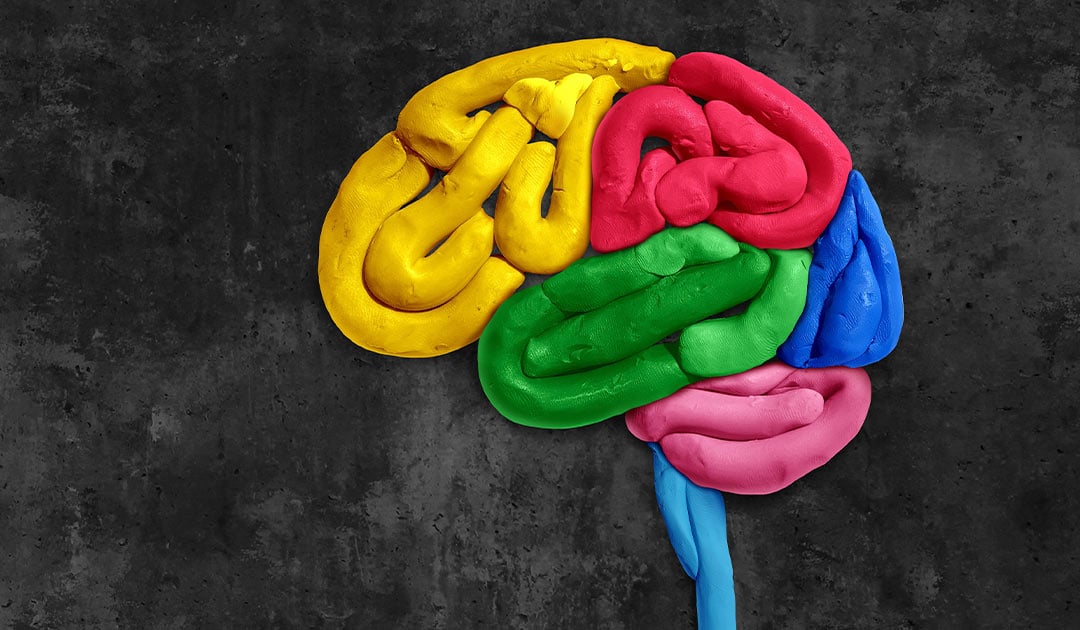 neuropsicologia-infantil-desarrollo-cognitivo-cnductual-3