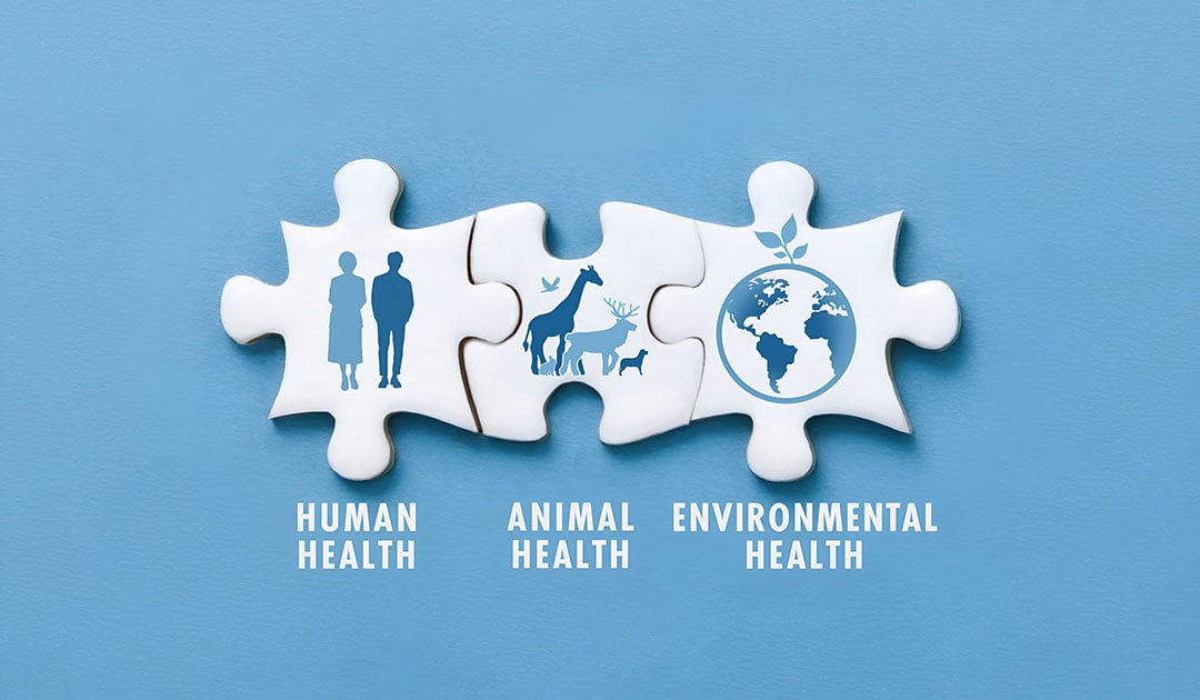 que-es-salud-global-3